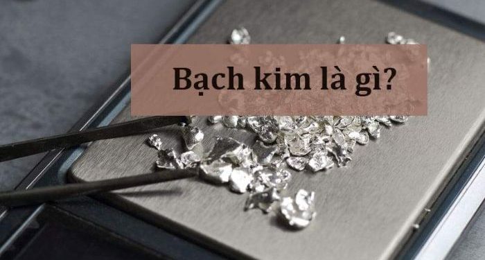 Thông báo thời gian nghỉ mát